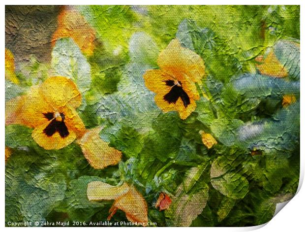 Yellow Pansies Like a Painting Print by Zahra Majid