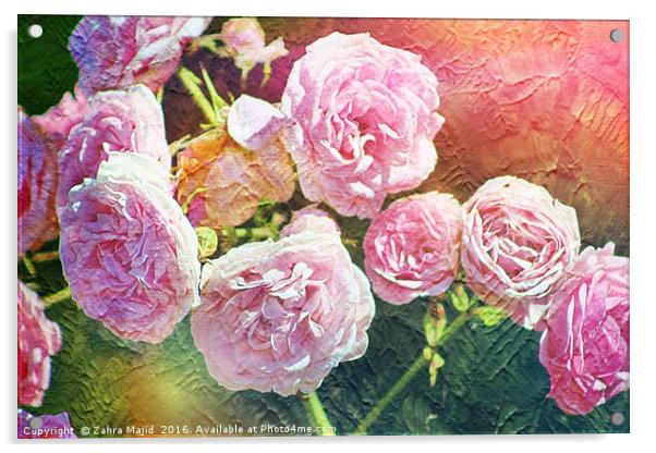 Pretty Pink Roses for Summer Acrylic by Zahra Majid