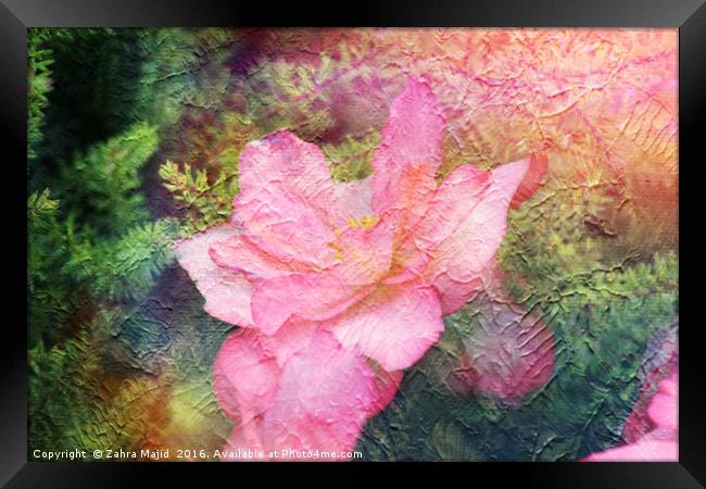 This is not an Oil Painting Framed Print by Zahra Majid