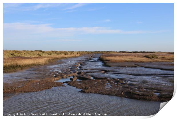 Marshland at Titchwell Beach, Norfolk Print by Judy Newstead-Howard