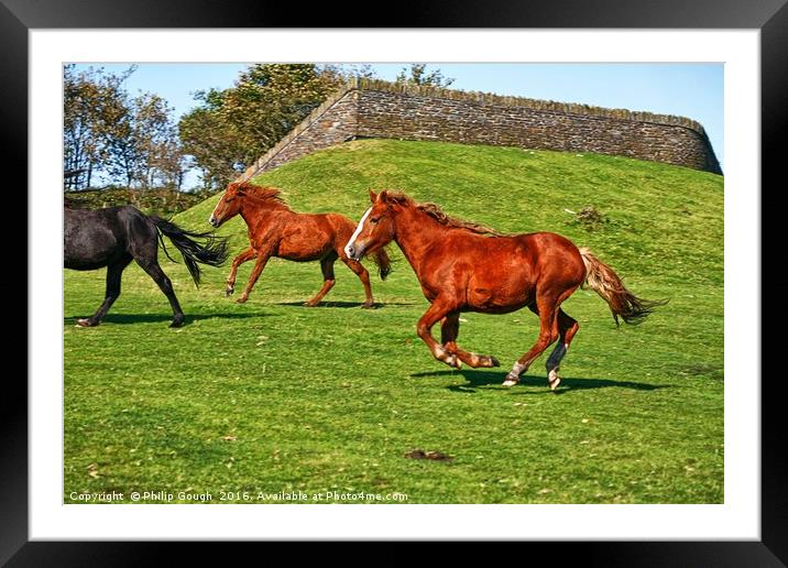 Running Wild Framed Mounted Print by Philip Gough