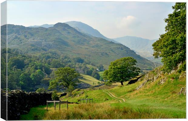 The Little Langdale Valley Lake District Cumbria Canvas Print by Nick Jenkins