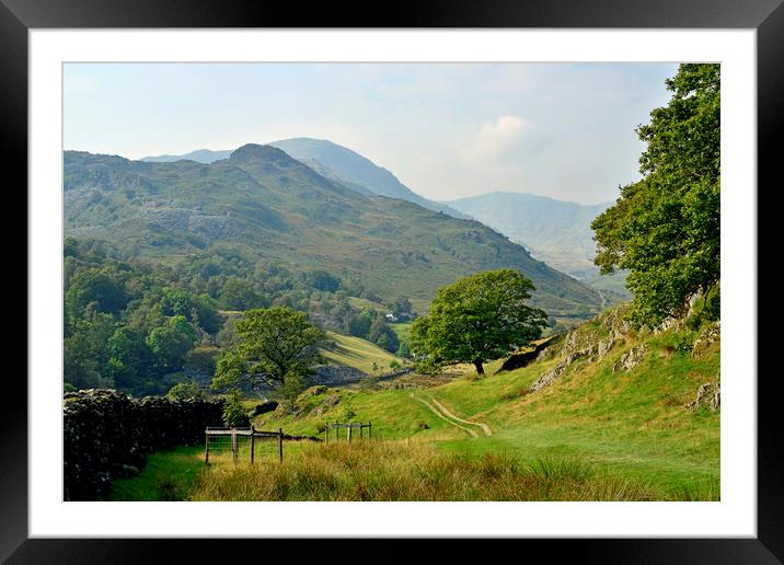 The Little Langdale Valley Lake District Cumbria Framed Mounted Print by Nick Jenkins