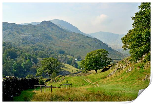 The Little Langdale Valley Lake District Cumbria Print by Nick Jenkins