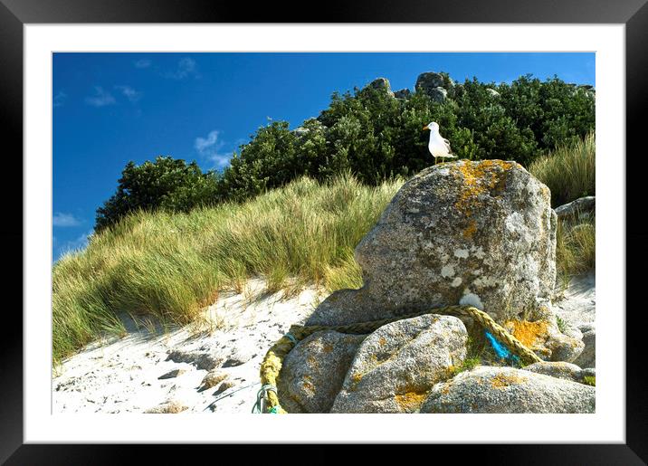 Sandy Beach on St Martins Isles of Scilly Framed Mounted Print by Nick Jenkins
