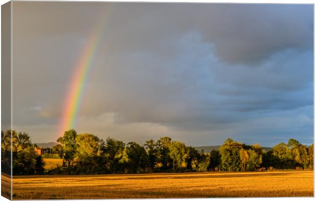Rainbow and Cornfield Much Birch Hererfordshire Canvas Print by Nick Jenkins