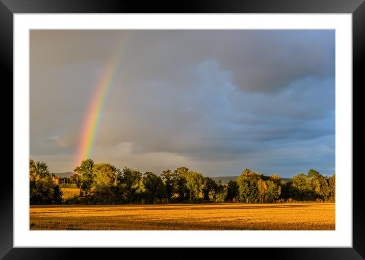 Rainbow and Cornfield Much Birch Hererfordshire Framed Mounted Print by Nick Jenkins