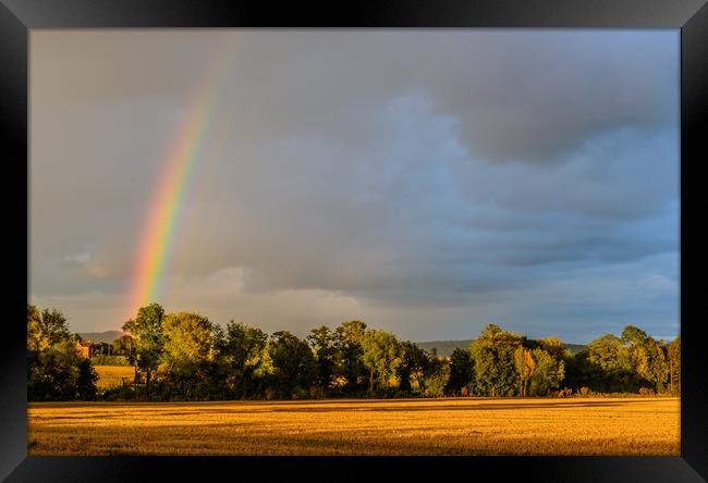 Rainbow and Cornfield Much Birch Hererfordshire Framed Print by Nick Jenkins