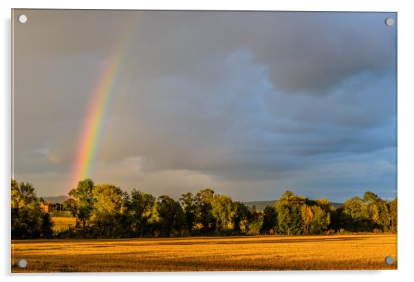 Rainbow and Cornfield Much Birch Hererfordshire Acrylic by Nick Jenkins