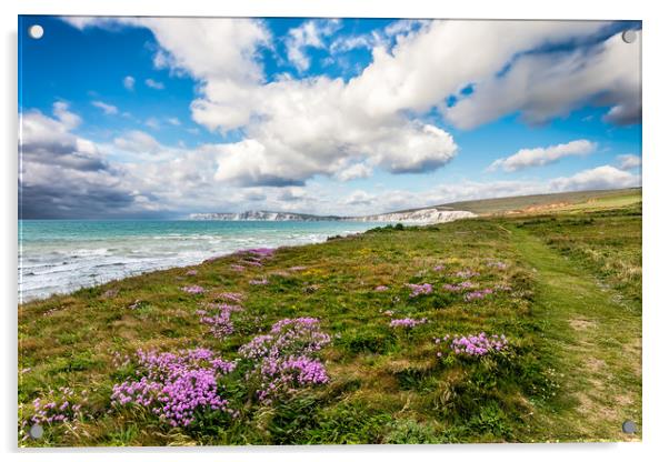 Compton Bay Sea Thrift Acrylic by Wight Landscapes