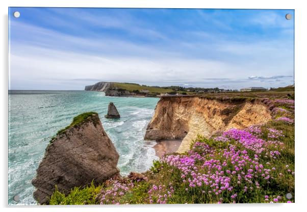 Freshwater Bay Sea Pinks Acrylic by Wight Landscapes