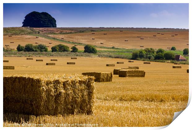 Avebury Bailes Print by Rob Perrett