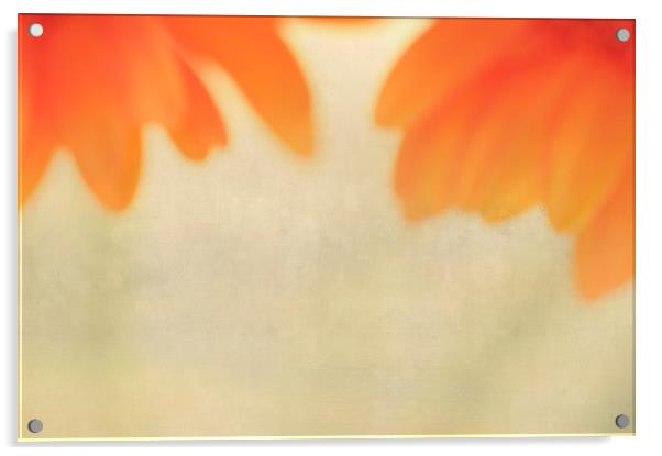 FLOWER IMPRESSION Acrylic by Chris Harris