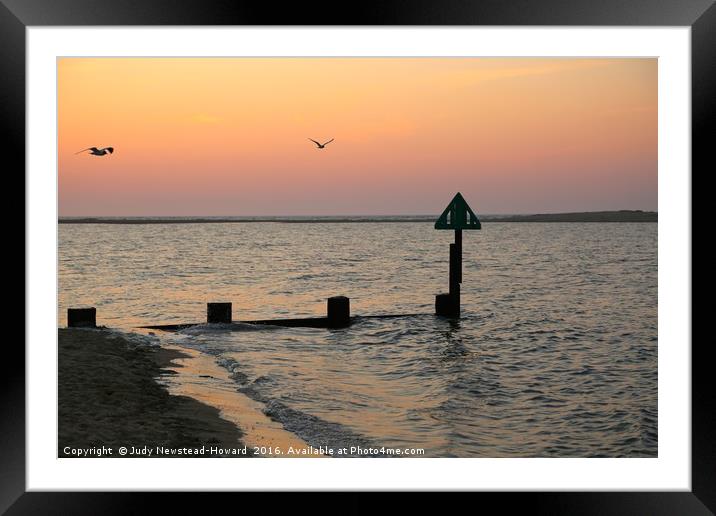 Gulls and Groynes at Sunset Framed Mounted Print by Judy Newstead-Howard