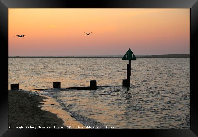 Gulls and Groynes at Sunset Framed Print by Judy Newstead-Howard