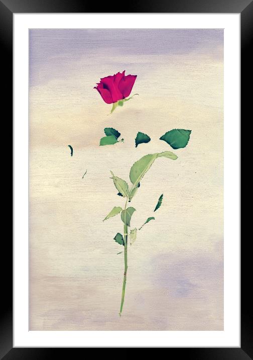 For You Framed Mounted Print by Svetlana Sewell
