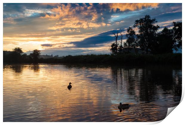 Silhouetted ducks at sunset Print by George Cairns