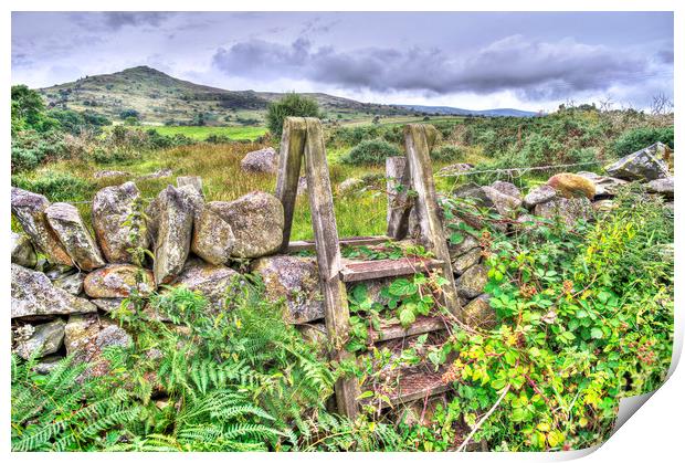 Old Welsh Wall Print by Mal Bray