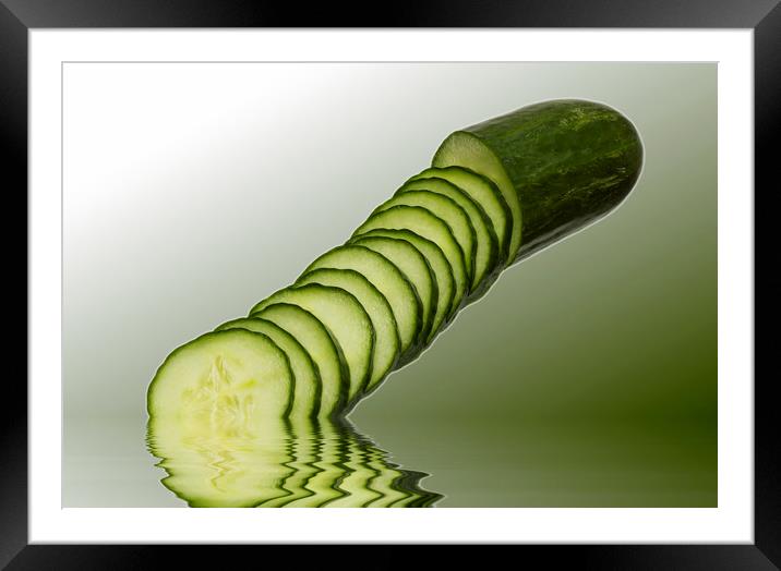 Cool as a Cucumber Slices Framed Mounted Print by David French