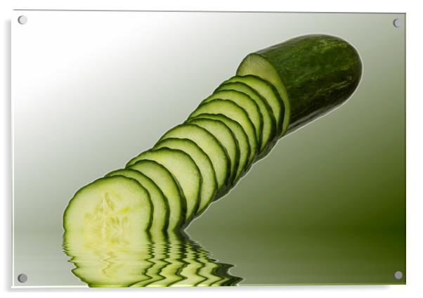 Cool as a Cucumber Slices Acrylic by David French