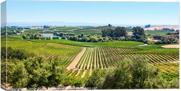 Beautiful view of Artesa Winery and vineyard in Na Canvas Print by Jamie Pham