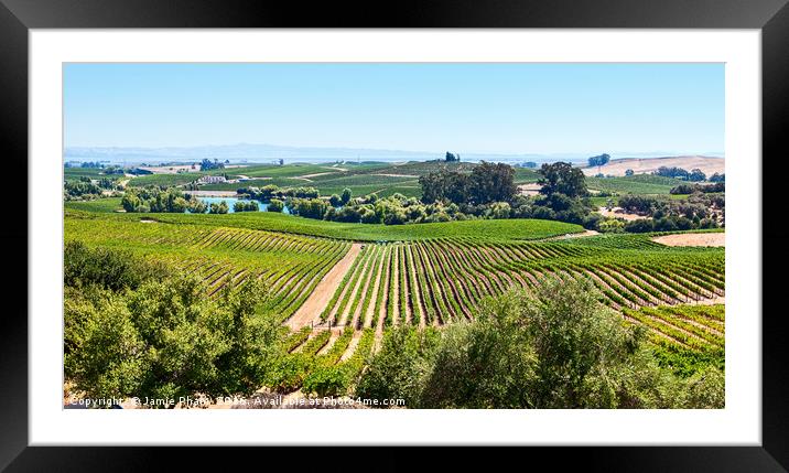 Beautiful view of Artesa Winery and vineyard in Na Framed Mounted Print by Jamie Pham