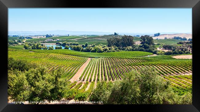 Beautiful view of Artesa Winery and vineyard in Na Framed Print by Jamie Pham