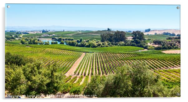 Beautiful view of Artesa Winery and vineyard in Na Acrylic by Jamie Pham