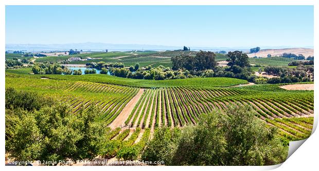 Beautiful view of Artesa Winery and vineyard in Na Print by Jamie Pham