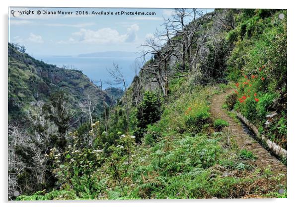 The Porto Novo Valley, Madeira Acrylic by Diana Mower