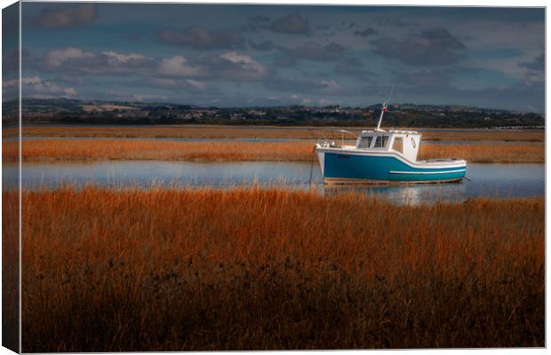 Calm Loughor estuary Canvas Print by Leighton Collins