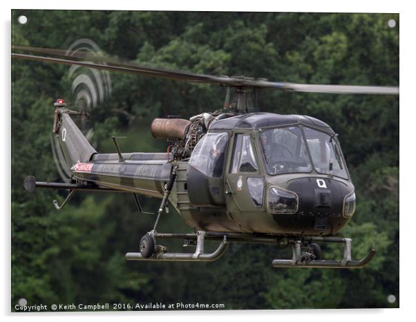 British Army Westland Scout Helicopter Acrylic by Keith Campbell