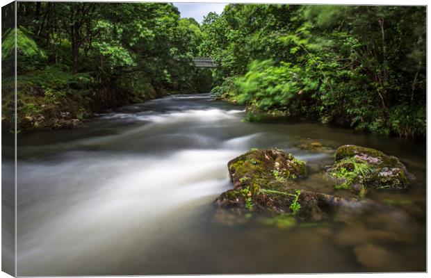 The River Brathay Canvas Print by Roger Green