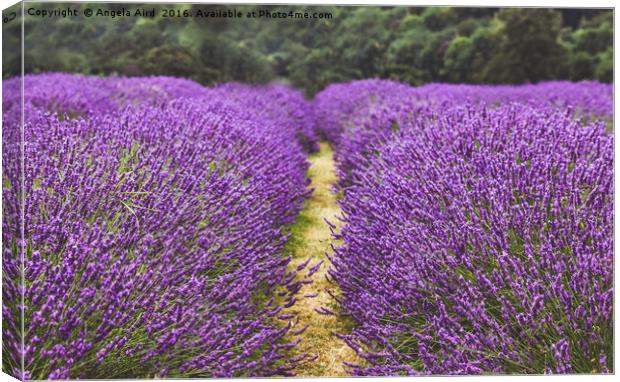 Summer Farm. Canvas Print by Angela Aird