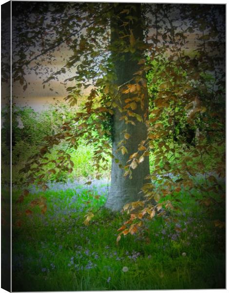 Bluebell Wood. Canvas Print by Heather Goodwin