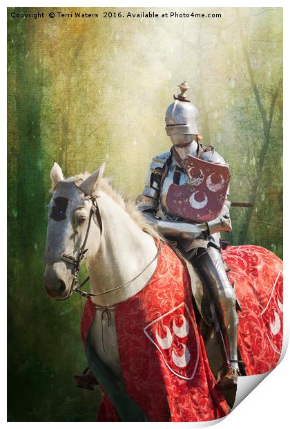 Red Knight Print by Terri Waters
