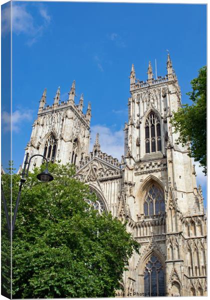  York Minster in the sun Canvas Print by Robert Gipson
