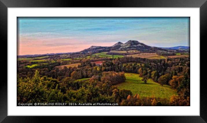 "THE EILDON HILLS" Framed Mounted Print by ROS RIDLEY