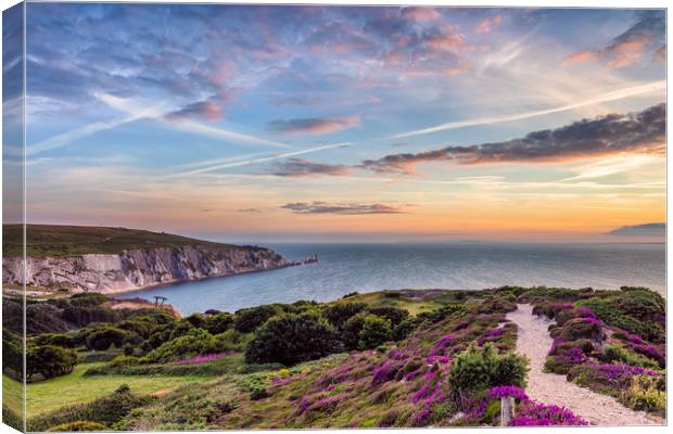 Headon Hill Sunset 3 Canvas Print by Wight Landscapes