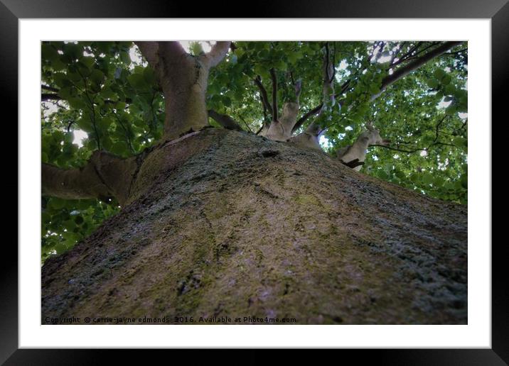 Up the tree, To see the world  Framed Mounted Print by cerrie-jayne edmonds