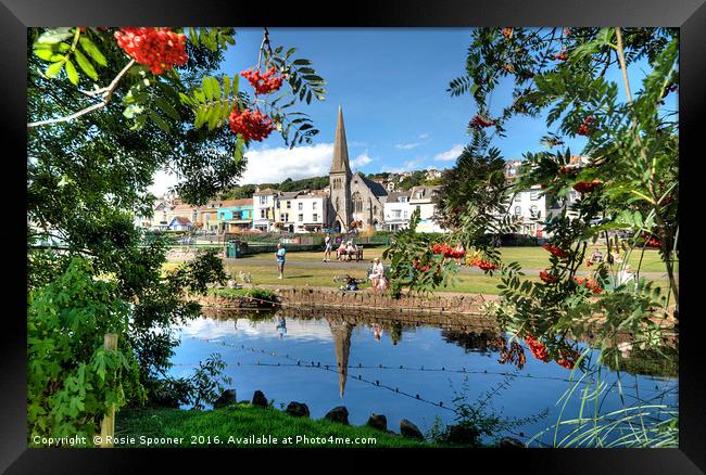 Dawlish Brook and Town through the trees. Framed Print by Rosie Spooner