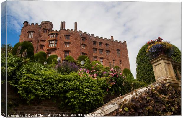 Powis Castle Canvas Print by David Chennell