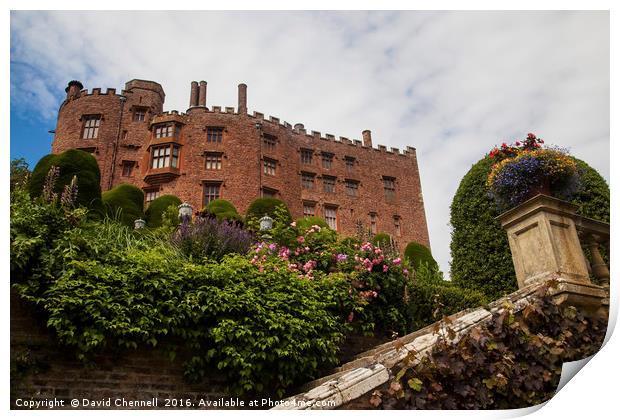 Powis Castle Print by David Chennell
