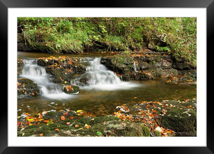 AUTUMN WATERFALL Framed Mounted Print by andrew saxton