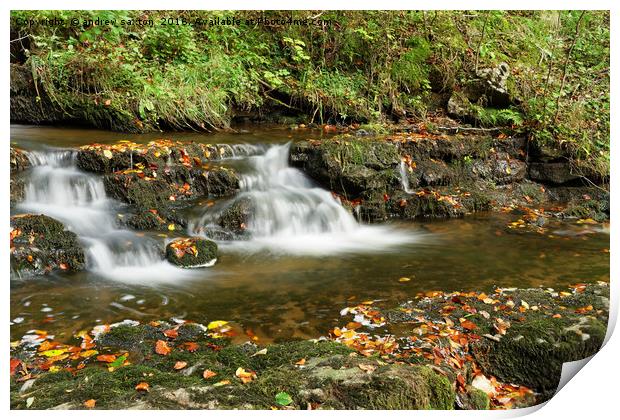 AUTUMN WATERFALL Print by andrew saxton