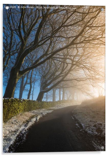 Winter trees, English Peak District Acrylic by John Finney