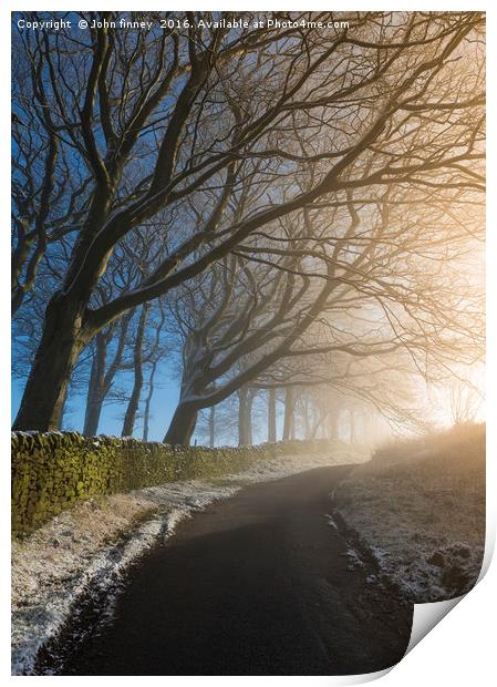 Winter trees, English Peak District Print by John Finney