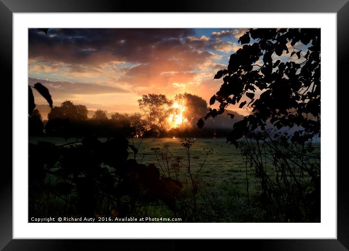 Sunrise behind trees Framed Mounted Print by Richard Auty