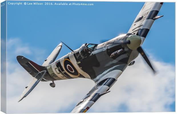 Spitfire Rolling In  Canvas Print by Lee Wilson