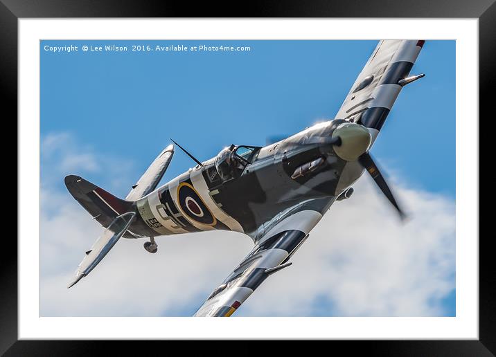 Spitfire Rolling In  Framed Mounted Print by Lee Wilson
